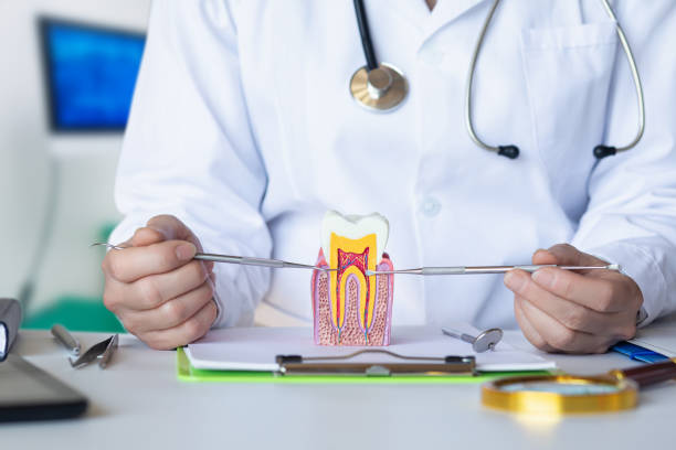 Best Emergency Dental Care for Abscessed Tooth in Laguna Vista, TX